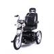 Elektromobil SportRider S CH-Getriebe, Batterie 75Ah