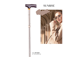 Spazierstock faltbar