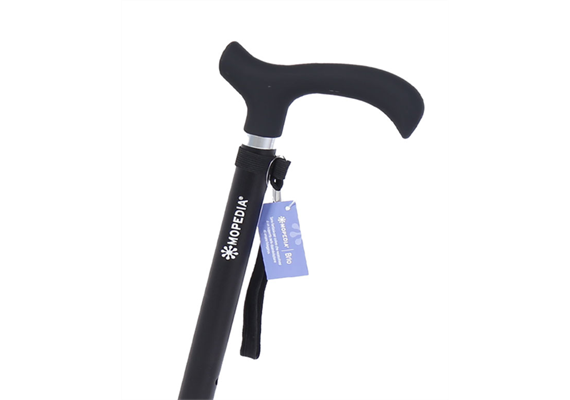 Gehstock Derby Brio schwarz Basic