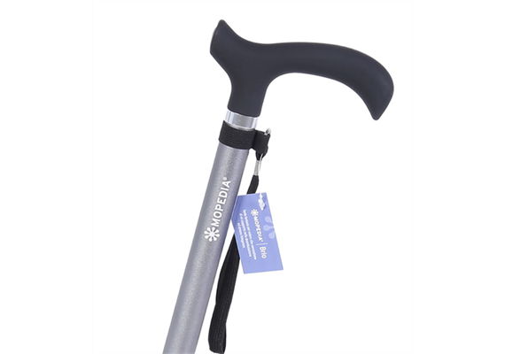 Gehstock Derby Brio silber Basic