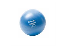 Trainingsball