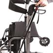 Rollstuhl/Rollator Gaya 2.0 silber mit Rückenbügel - 2-in-1 Funktion | Bild 3